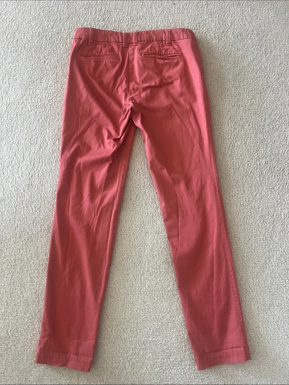 Dalia Collection these salmon